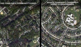 The impact of a community forest. Imagery provided by Google Earth.
